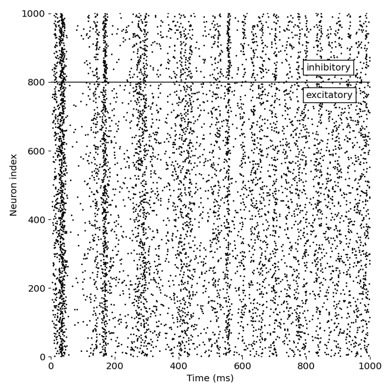 Spiking activity in a recurrent network of model neurons.